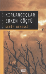 Kırlangıçlar Erken Göçtü