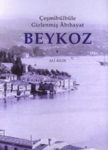 Çeşmibülbüle Gizlenmiş Abıhaya Beykoz