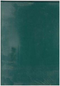 Dilman Yevmiye Defteri 23X32 96 Yp