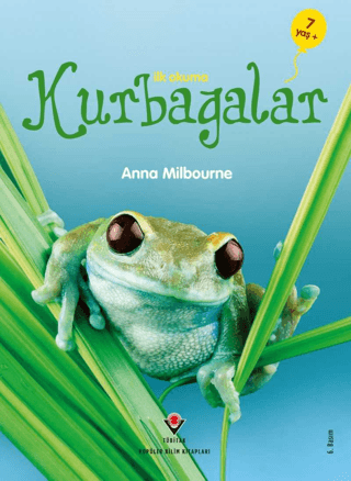 İlk Okuma - Kurbağalar