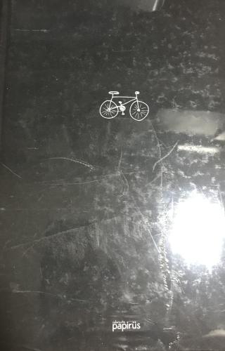 Papirüs Mini 16X23 Sert Kapak 96 Yaprak Çizgisiz Defter