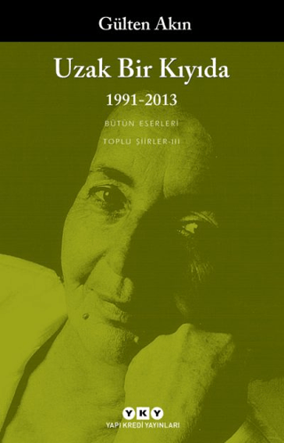 Uzak Bir Kıyıda 1991 - 2013