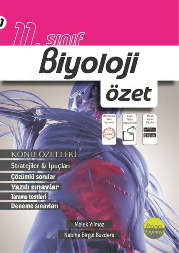 Pano 11. Sınıf Biyoloji Özet