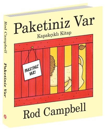 Paketiniz Var Kapakçıklı Kitap