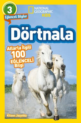 Dörtnala Atlarla İlgili 10 Eğlenceli Bilgi 3 Seviye