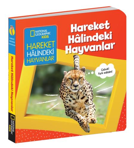 Hareket Halindeki Hayvanlar İlk Kitaplarım Serisi Ciltli