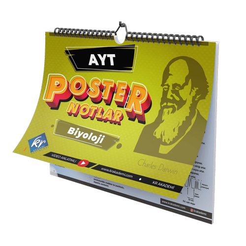 Kr Akademi AYT Biyoloji Poster Notlar